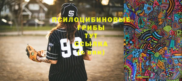 дмт Богородицк