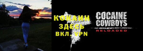 дмт Богородицк