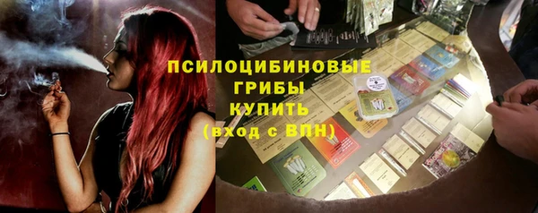 mdpv Богородск
