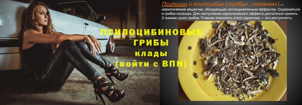 дмт Богородицк