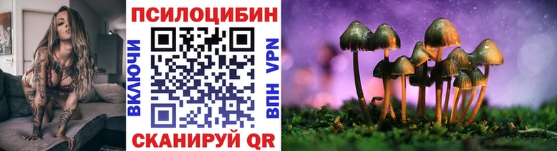 MEGA зеркало  Приволжский  Галлюциногенные грибы Cubensis 
